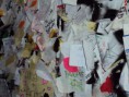 /album/galeria-de-fotos/muro-de-verona-jpg/